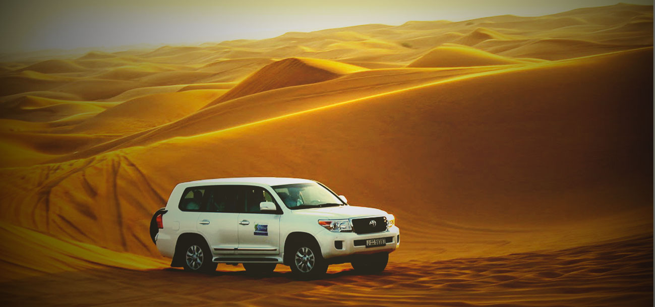 Which is better: morning or evening desert safari?