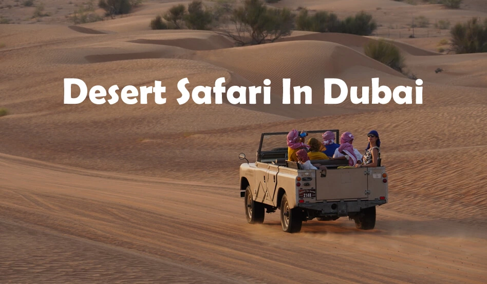 Which area is best for desert safari?