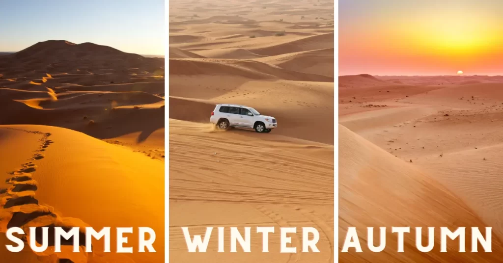 What is the best time for desert safari?